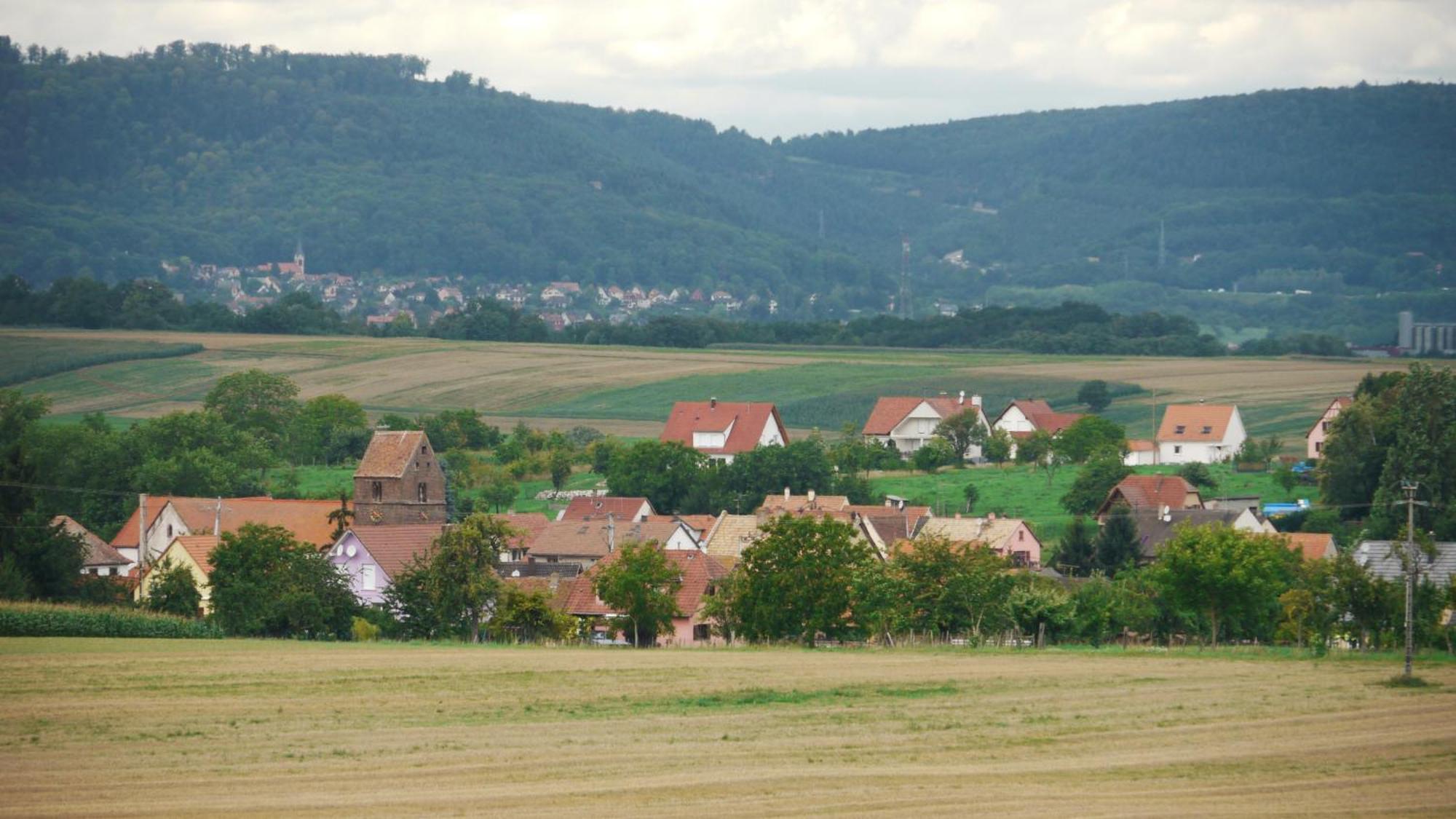 Chambres D'Hotes L'Ecrin Des Saveurs Schwenheim Exterior foto